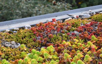 the cost of Edmondsham green roof installation