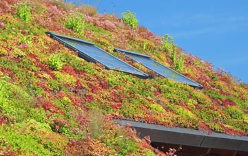 Edmondsham living roof systems