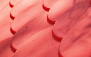 Edmondsham plastic roof costs