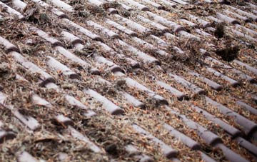 Edmondsham roof cleaning companies